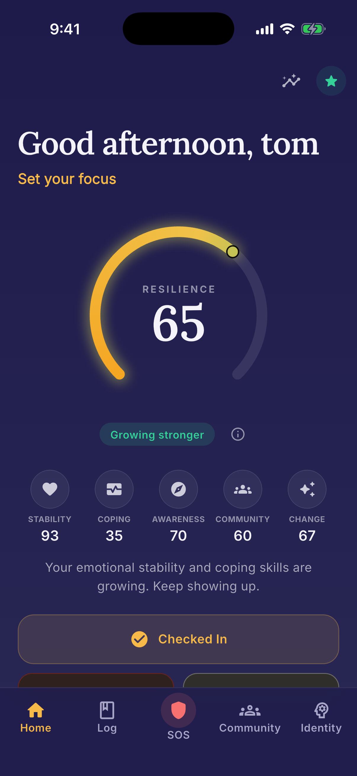 Ironbark dashboard showing the current journey, resilience score, and a populated history